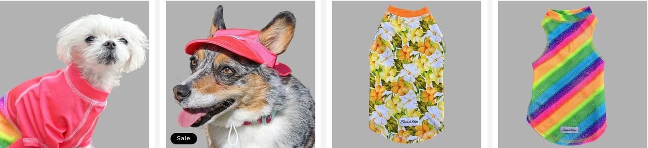 Washington DC, Fashion & Design, Clothes For Dogs And Cats That Bring Comfort And Everyday Style