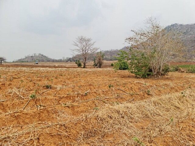 Bangkok, Real Estate For Sale, THB 300000,  6 BR,  2130 Sq. Feet,  Land In Nakhon Sawan City, Next To The Mountain, For Sale And Rent, Phra Non Subdistrict,