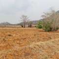 THB 300000,  6 BR,  2130 Sq. Feet,  Land In Nakhon Sawan City, Next To The Mountain, For Sale And Rent, Phra Non Subdistrict,