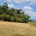 THB 280000,  6 BR,  49873 Sq. Feet,  Real Estate In Thailand, Assets In The Ground  Beautiful Land For Sale Next To The