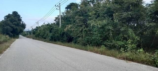 Bangkok, Real Estate For Sale, THB 250000,  6 BR,  14400 Sq. Feet,  Rent And Sell Beautiful Land In Tak Province. Next To Highway 1107, Convenient