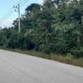 THB 250000,  6 BR,  14400 Sq. Feet,  Rent And Sell Beautiful Land In Tak Province. Next To Highway 1107, Convenient