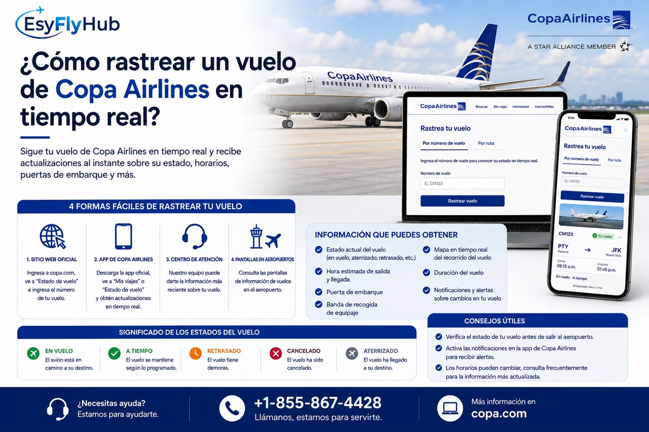 New York, Travel, ¿Dónde Comprobar Las Salidas Y Llegadas De Copa Airlines Hoy?