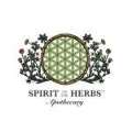 Buy Elderberry Syrup Online | Premium Natural Immune Support Supplement