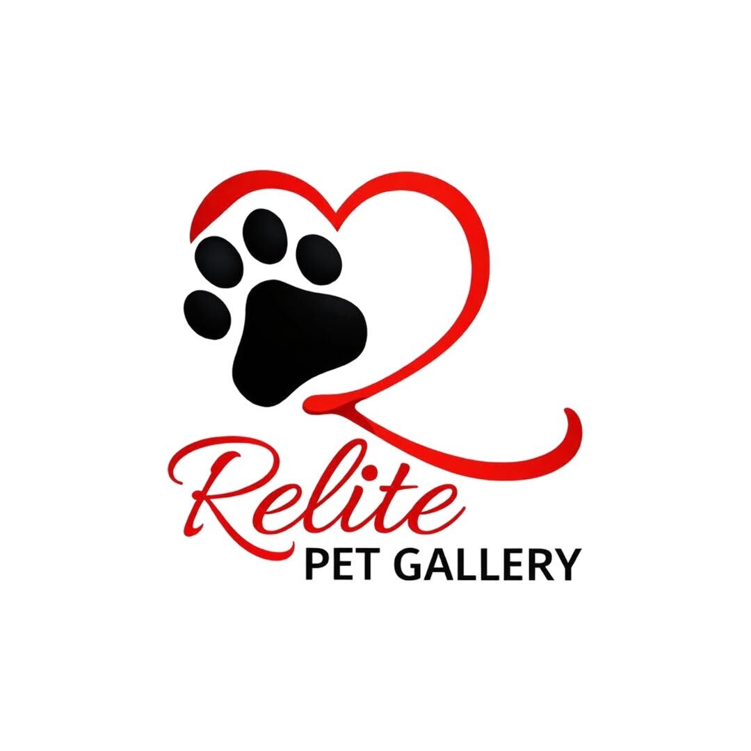 Lucknow, Pet Sitting, Trusted Pet Sitting In Lucknow | Relite Pet Gallery Aliganj