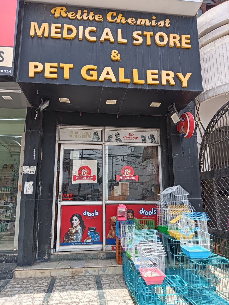 Lucknow, Pet Sitting, Trusted Pet Sitting In Lucknow | Relite Pet Gallery Aliganj