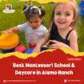 Affordable Montessori School In Alamo Ranch
