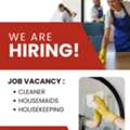 Cleaners