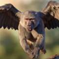 Healing From Flying Monkey Abuse With Narcissistic Abuse Rehab