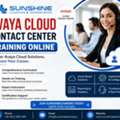 Avaya Cloud Contact Center Training Online | Sunshinelearning