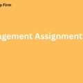 Unlock Academic Success With Top Management Assignment Writing Service