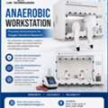 Premium Anaerobic Workstation Supplier | Lab Technologies