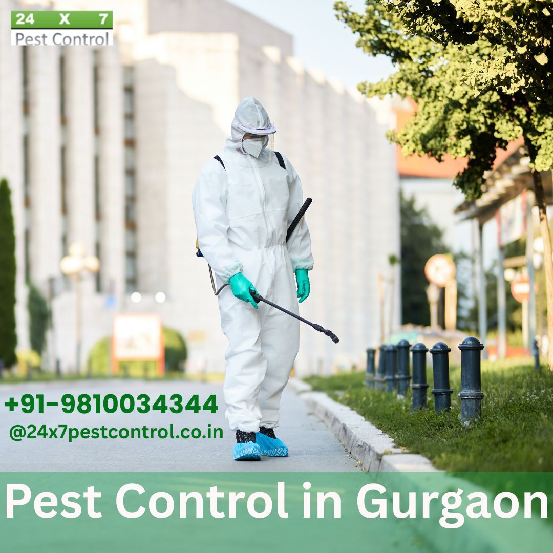 Gurugram, Pest Control, Pest Control Services In Gurugram