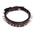 INR 549, Spike Collar For Reliable Dog Protection