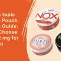 INR 1000, Tobacco-Free Pouches: A Cleaner Choice For Modern Adult Consumers