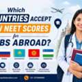 Which Countries Accept Low NEET Scores For MBBS Abroad?