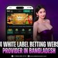 Baji Betting Website Provider In Bangladesh