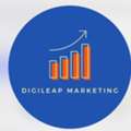SEO Company For Business Growth | DigiLeap Services