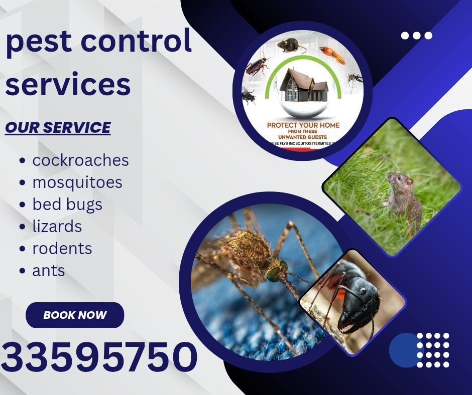 Manama, Pest Control, Pest Control Services