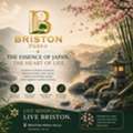 Briston World &ndash; The Address Neemrana Buyers Are Watching