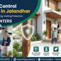 Termite Control Services In Jalandhar | The Hunters