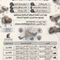 CCTV SPECIAL OFFERS