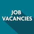 Seeking Freelance Internet Marketing Agent & Marketing Manager