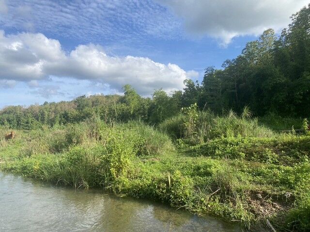 Bangkok, Real Estate For Sale, THB 500000,  6 BR,  1235 Sq. Feet,  Land For Sale And Rent Next To The Stream, Lam Nam Muap, Nan Province, Mueang Nuea, Phong