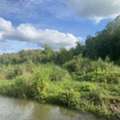 THB 500000,  6 BR,  1235 Sq. Feet,  Land For Sale And Rent Next To The Stream, Lam Nam Muap, Nan Province, Mueang Nuea, Phong