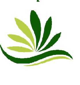 New Delhi, Recycling, Spent Catalytic Converter & Honeycomb Exports In Maharashtra