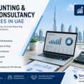 Professional Accounting, VAT & Corporate Tax Services In UAE