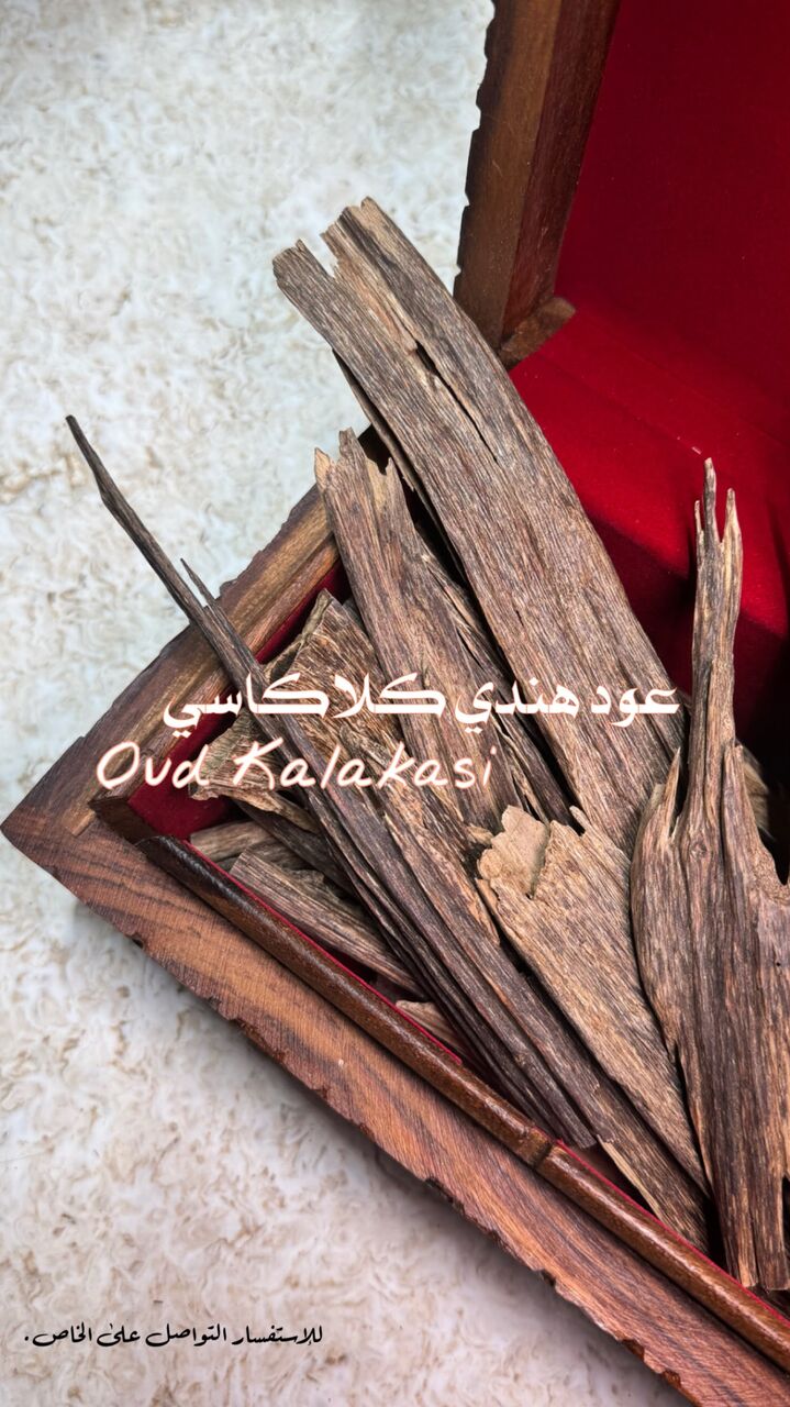 Jubail, Musical Instruments, SAR 1,  VVIP TRIPLE SUPER OUD