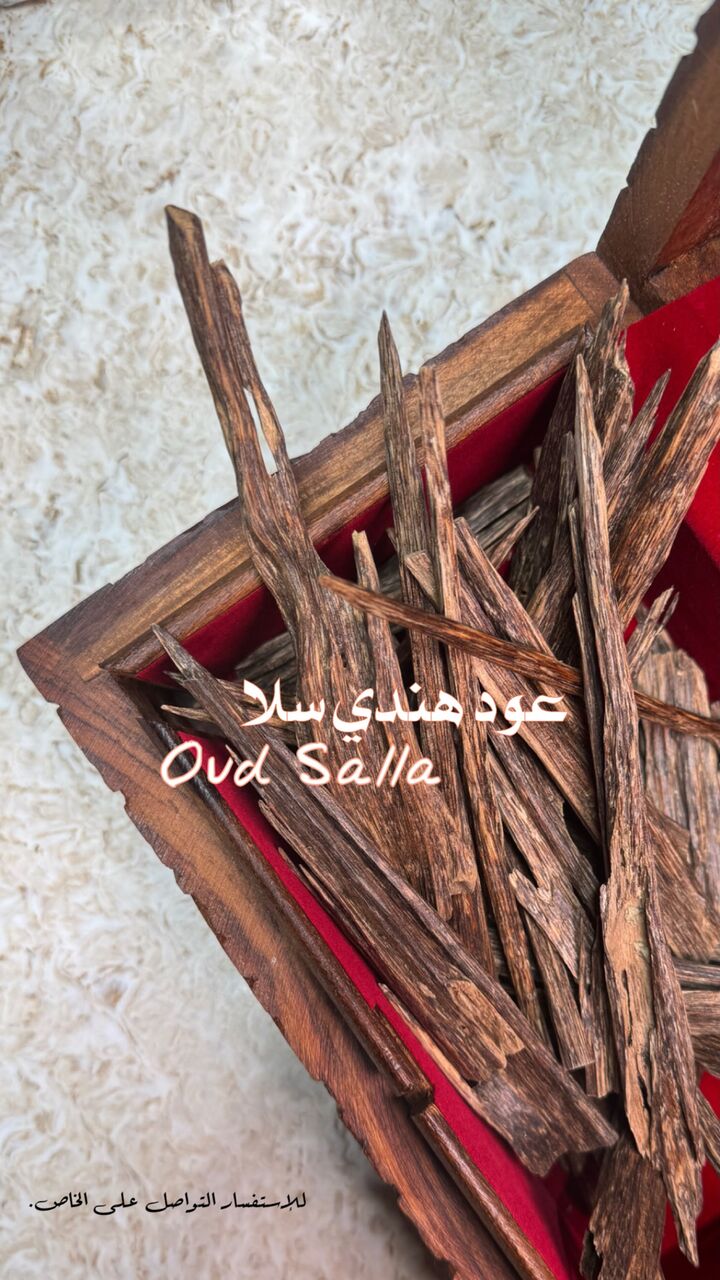 Jubail, Musical Instruments, SAR 1,  VVIP TRIPLE SUPER OUD