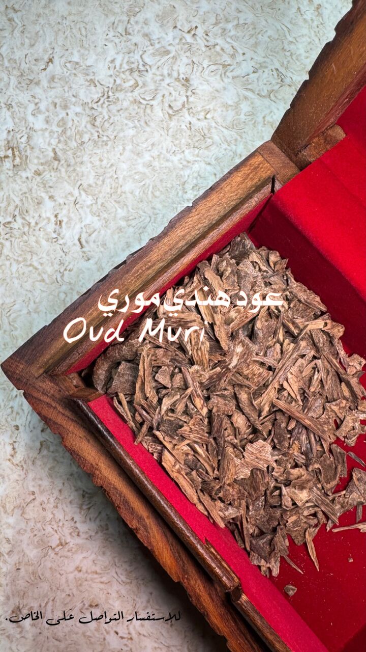 Jubail, Musical Instruments, SAR 1,  VVIP TRIPLE SUPER OUD