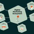 Double-up Your Business Profit Through Digital Marketing