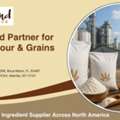 Your Trusted Partner For Industrial Flour & Grains