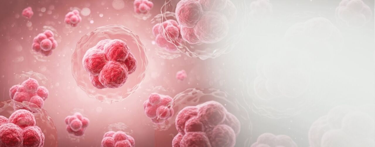 New Delhi, Health, Blood Cancer Treatment In Delhi