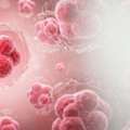Blood Cancer Treatment In Delhi