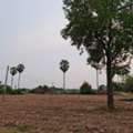 THB 150000,  6 BR,  803 Sq. Feet,  Both Rent Or Sell Land Next To The Nan River. A Beautiful Place Next To The Nan River,