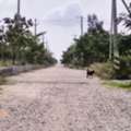 INR 12500,  448 Sq. Yard,  DTCP & RERA FINAL APPROVED Open Plots For Sale @ Yacharam