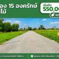 THB 550000,  6 BR,  100 Sq. Feet,  Land For Sale At Ton Mai Market, Khlong 15, Ongkharak, 100 Sq M, Owner Selling It