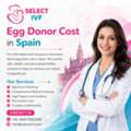 Egg Donor Cost In Spain