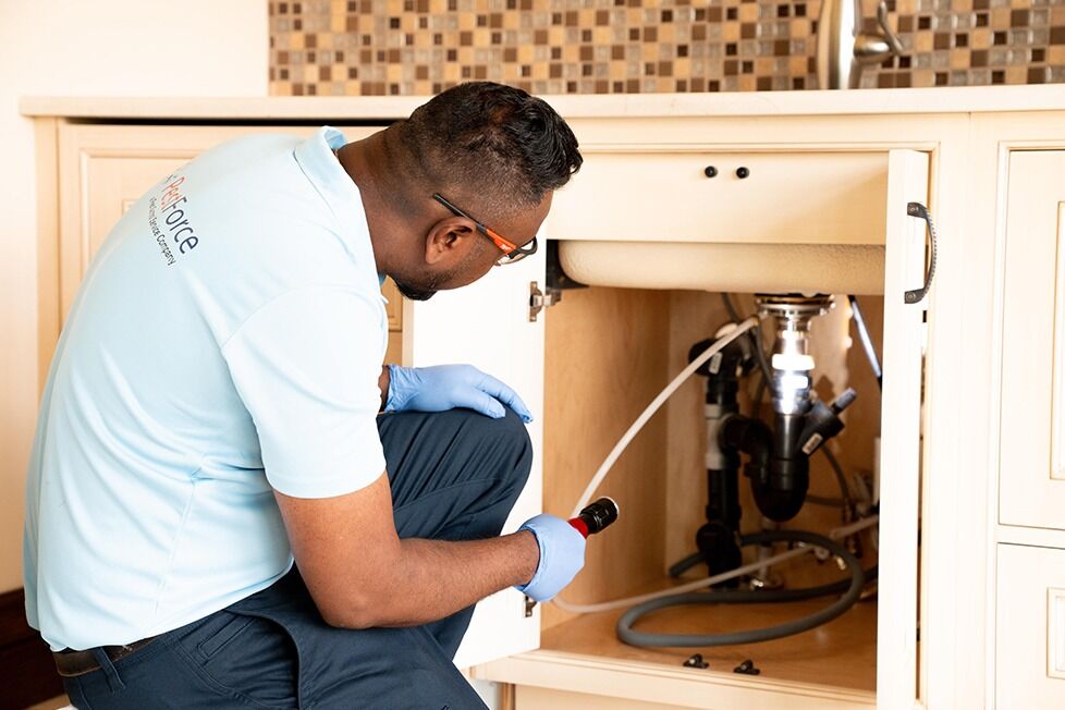 Calgary, Business, Pest Control Calgary Services For Safe Pest Removal