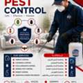 Protect Your Home & Business With Wenz International! 🛡️