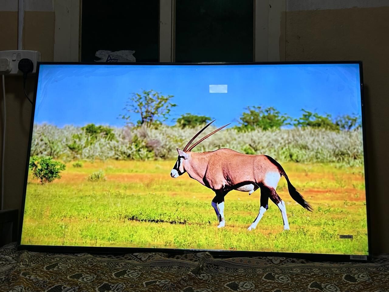 Hofuf, Electronics, SAR 600,  LED 50"