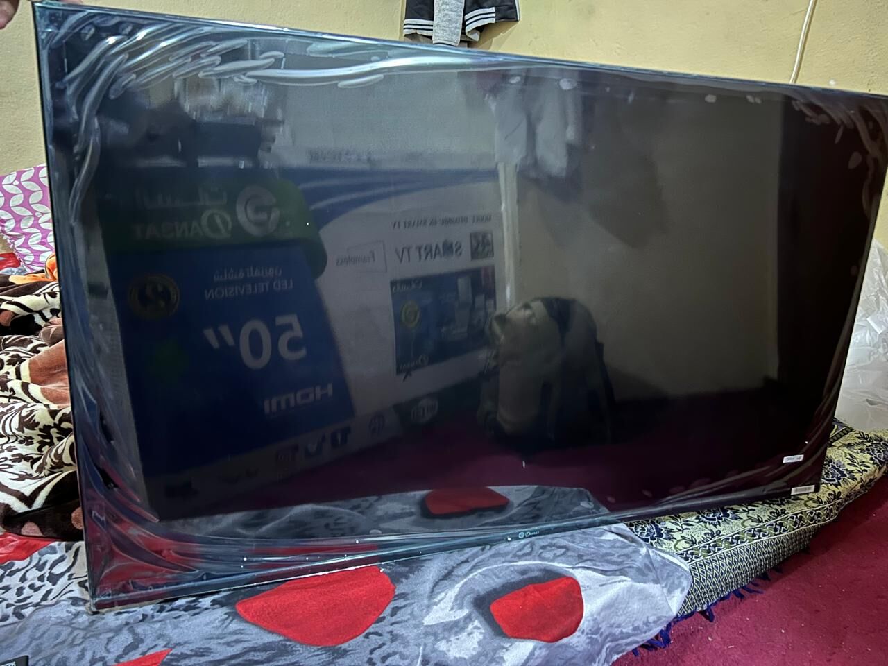 Hofuf, Electronics, SAR 600,  LED 50"