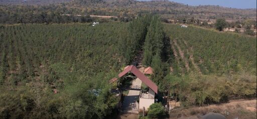 Nagpur, Agricultural Land, Why Agricultural Land In Nagpur Is Becoming A Popular Investment