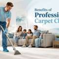 Carpet Cleaning Middle Park &ndash; Professional Care For Fresher Carpets
