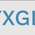 NyxGlobal Security Service - Washington DC