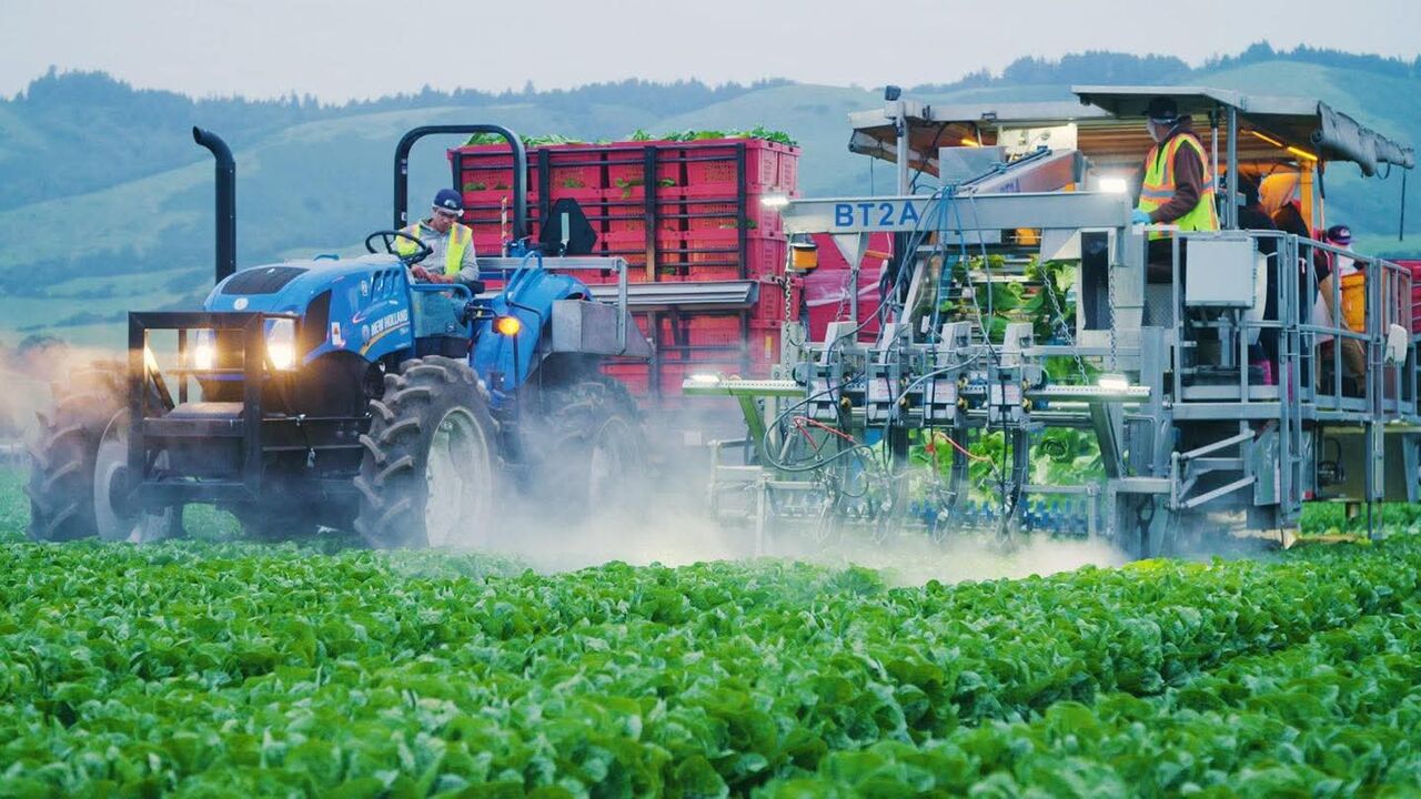 Paris, Business Partners, Agriculture Investor